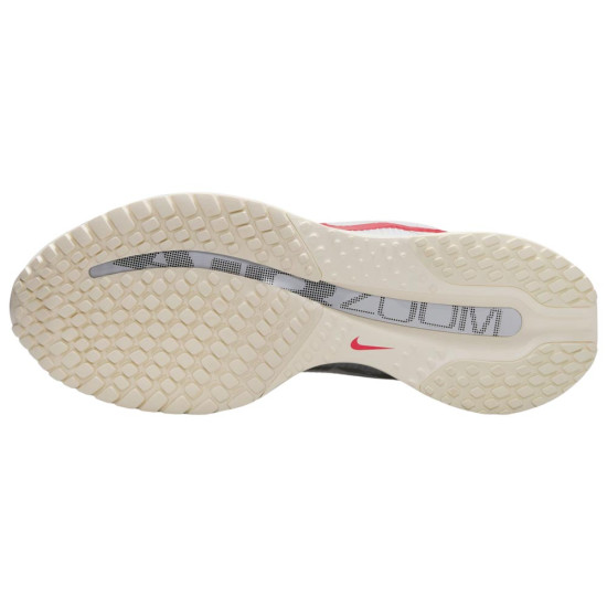 Nike Pegasus Premium Road W